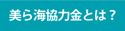 美ら海協力金とは？