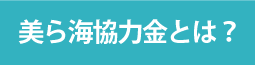 美ら海協力金とは？